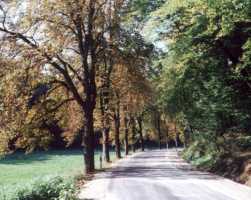 Thüringer Allee